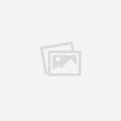 Beautiful Cocker Spaniel Puppies for Sale – Ready 14th November 2026